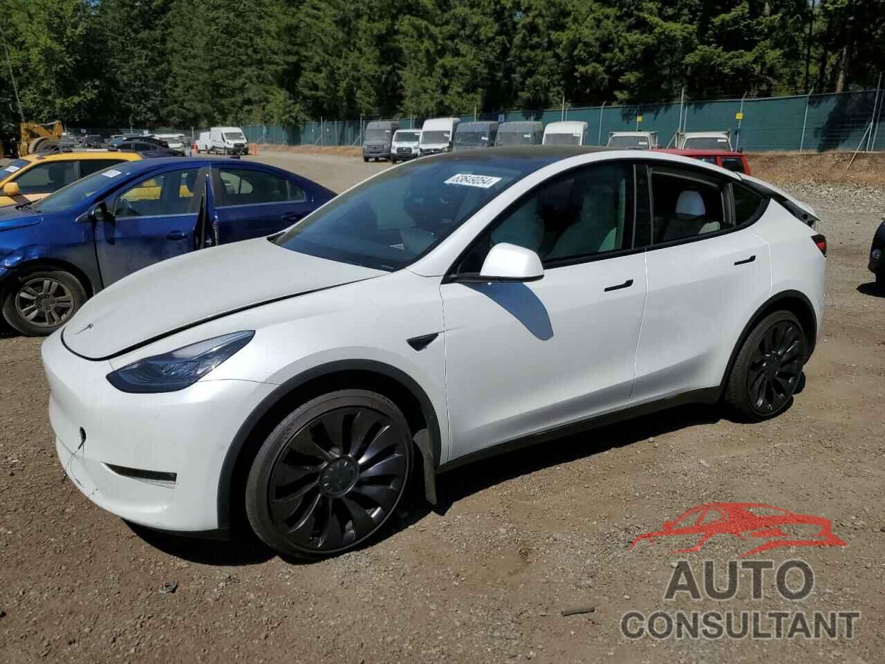 TESLA MODEL Y 2021 - 5YJYGDEE6MF257388