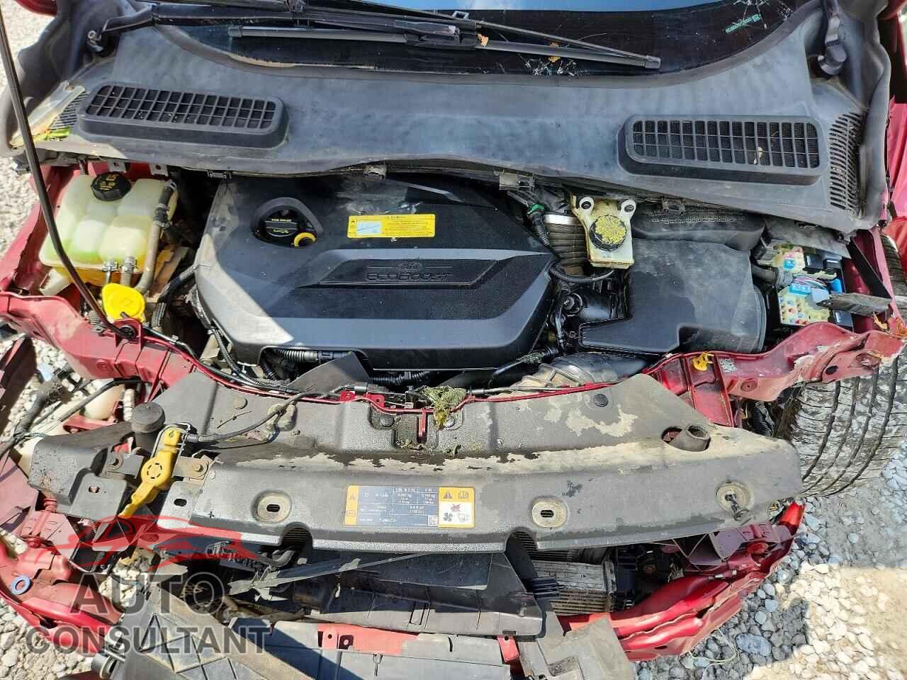 FORD ESCAPE 2014 - 1FMCU9GXXEUC99369
