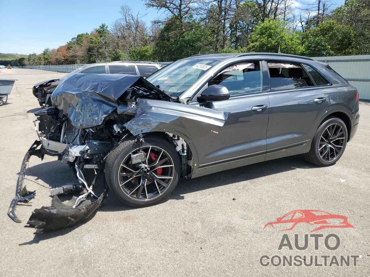 AUDI Q8 2023 - WA1EVBF17PD049583
