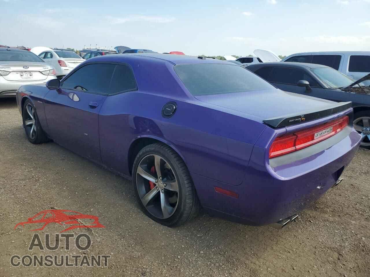 DODGE CHALLENGER 2014 - 2C3CDYBT3EH231425