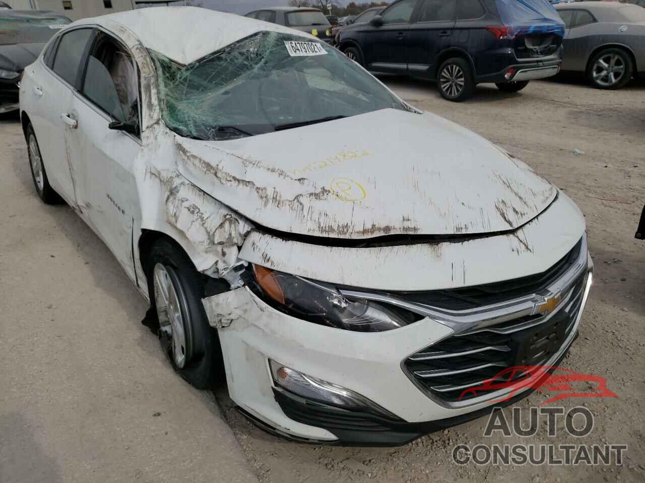 CHEVROLET MALIBU 2019 - 1G1ZB5ST6KF150807