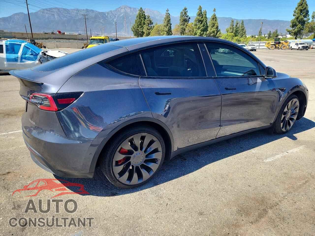 TESLA MODEL Y 2022 - 7SAYGDEF9NF546357