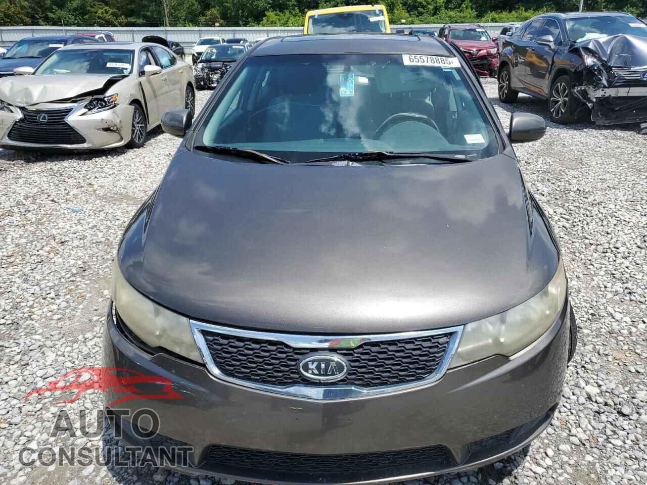 KIA FORTE 2012 - KNAFU5A24C5592924
