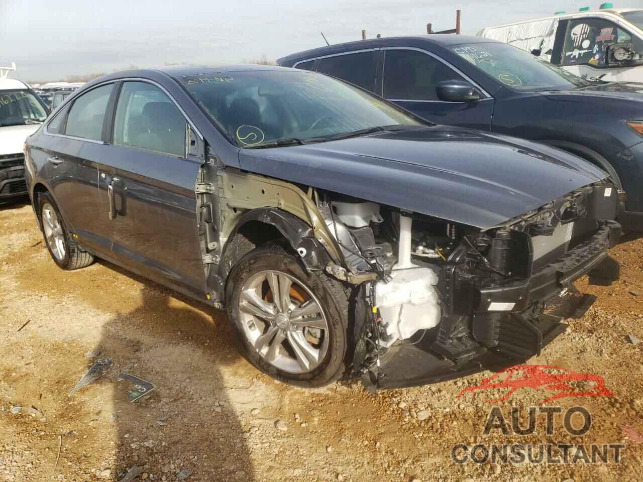 HYUNDAI SONATA 2019 - 5NPE34AF0KH780482