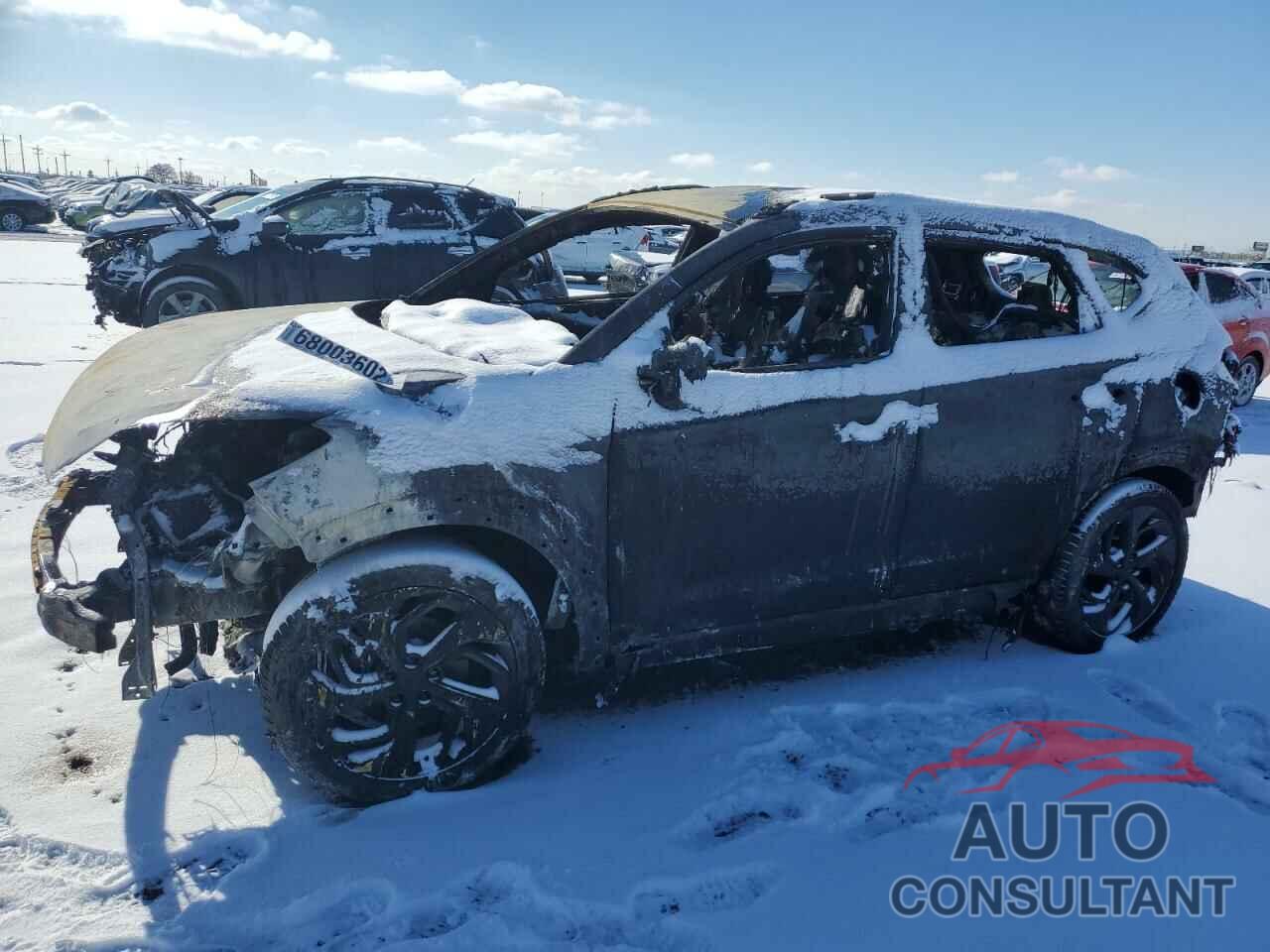 HYUNDAI TUCSON 2017 - KM8J3CA25HU314403