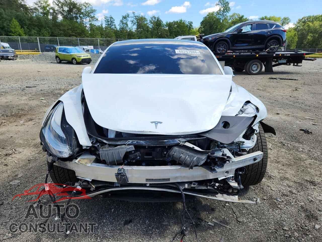 TESLA MODEL 3 2019 - 5YJ3E1EA5KF402557