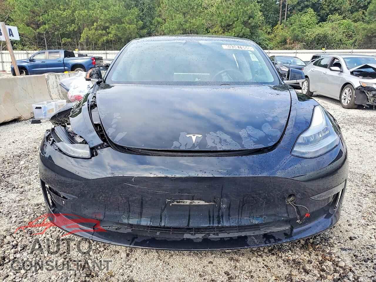 TESLA MODEL 3 2019 - 5YJ3E1EA1KF410705