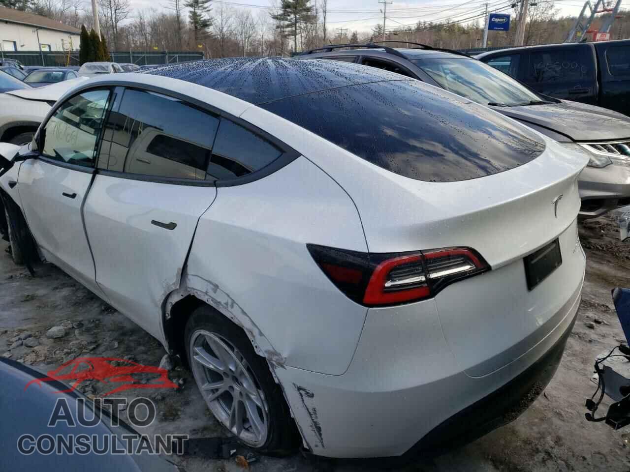 TESLA MODEL Y 2021 - 5YJYGDEEXMF064483