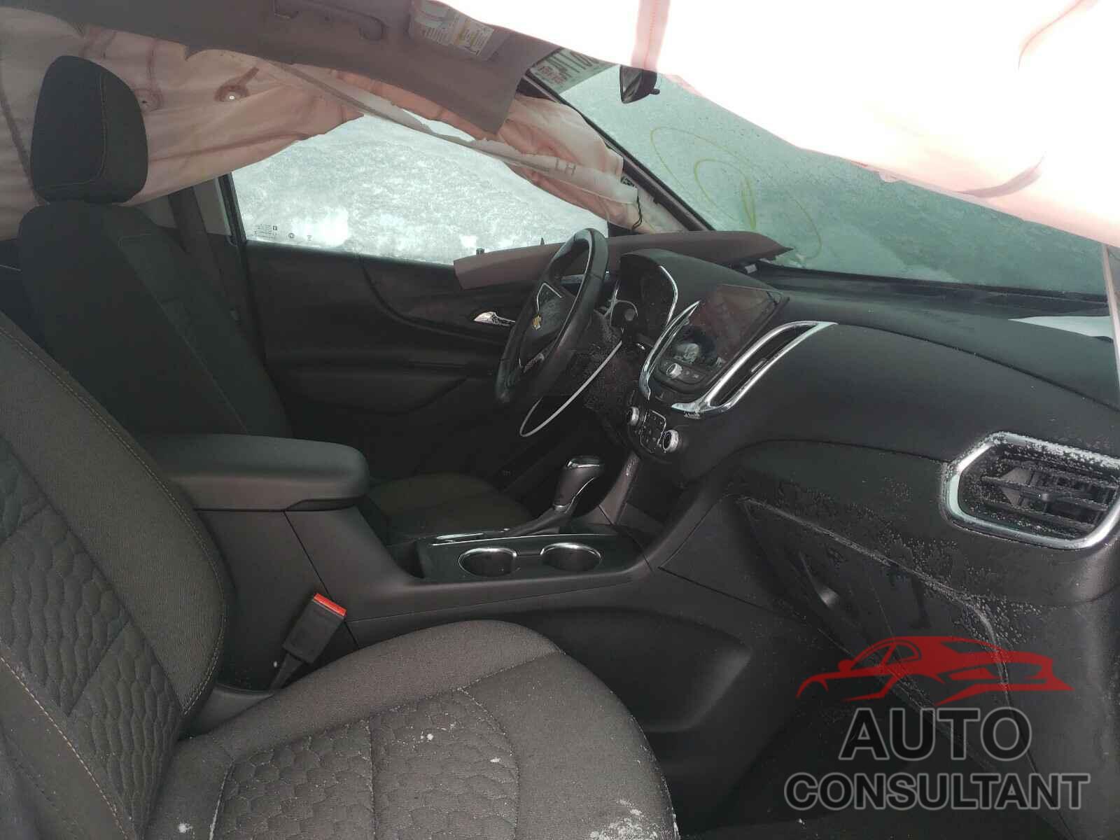 CHEVROLET EQUINOX 2019 - 2GNAXKEV8K6134286