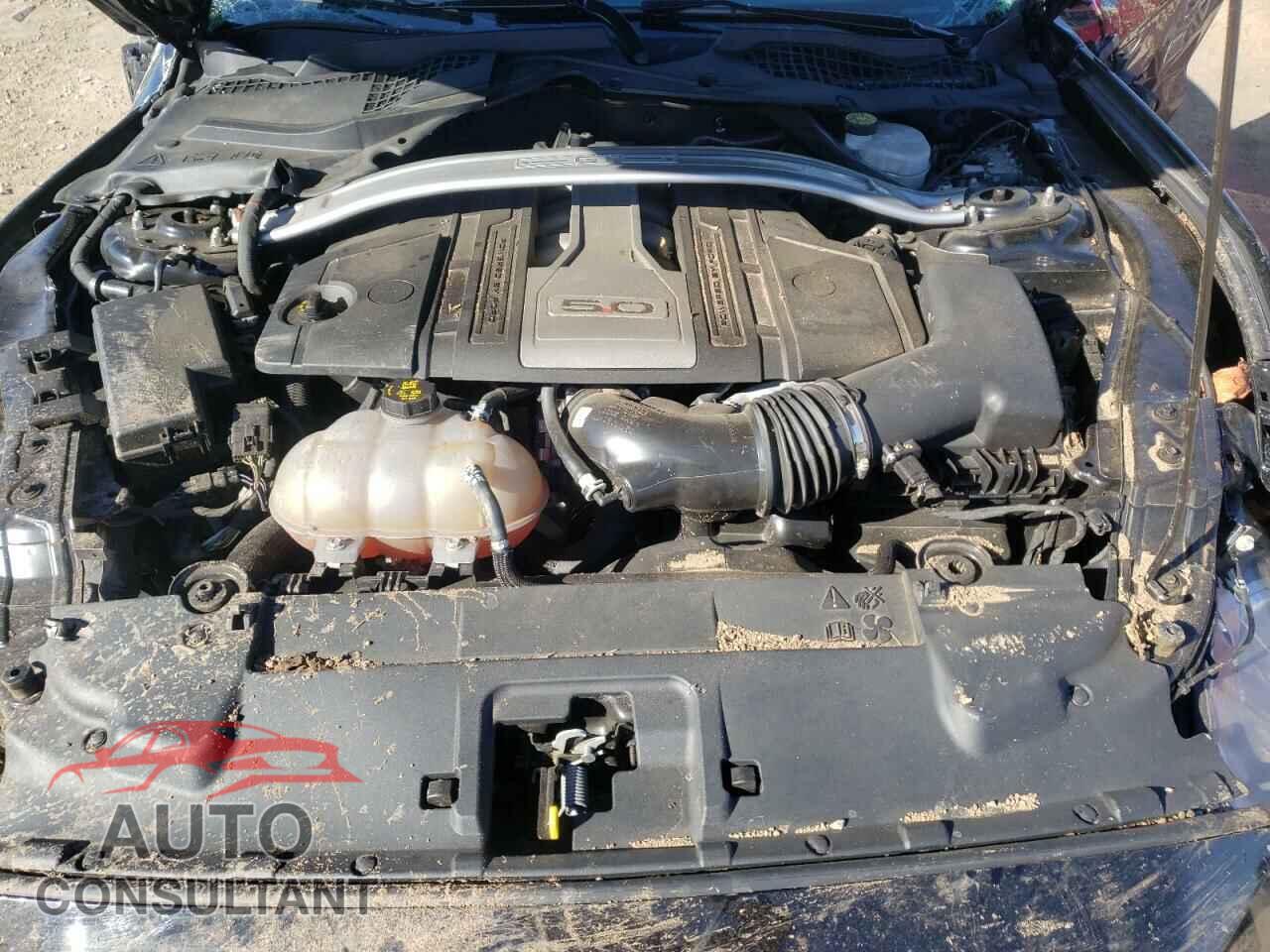 FORD MUSTANG 2019 - 1FA6P8CF7K5166869