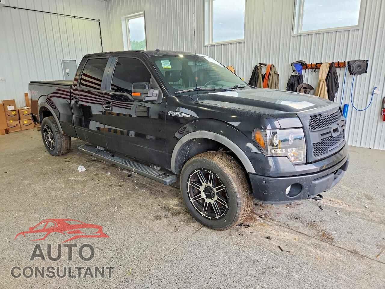 FORD F150 2012 - 1FTFW1EF0CFC25791