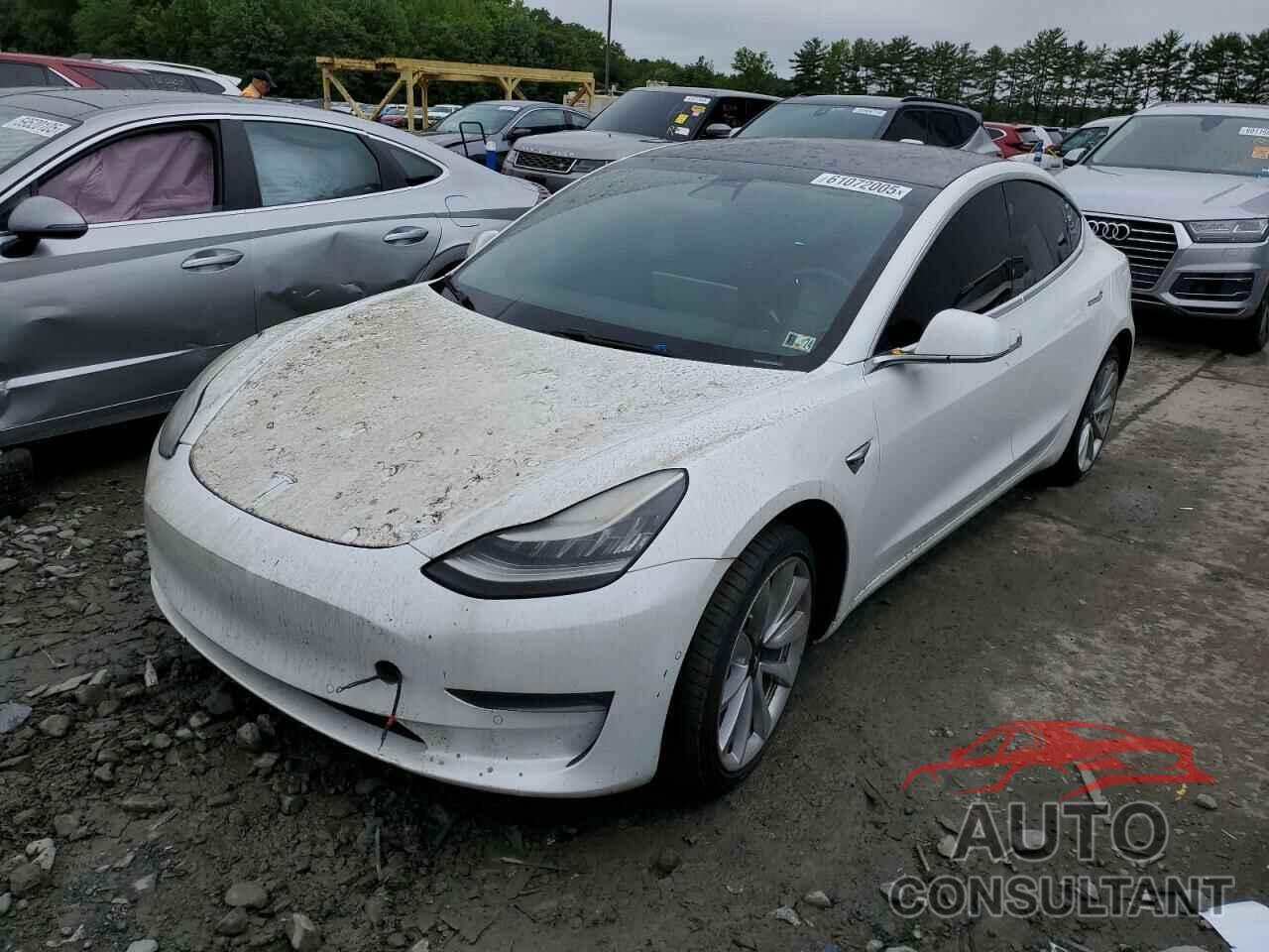 TESLA MODEL 3 2019 - 5YJ3E1EA3KF332041