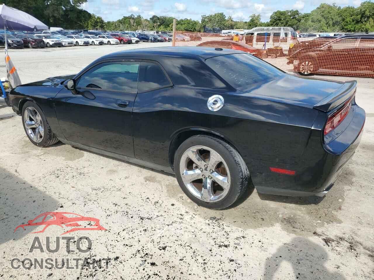 DODGE CHALLENGER 2013 - 2C3CDYBTXDH530957