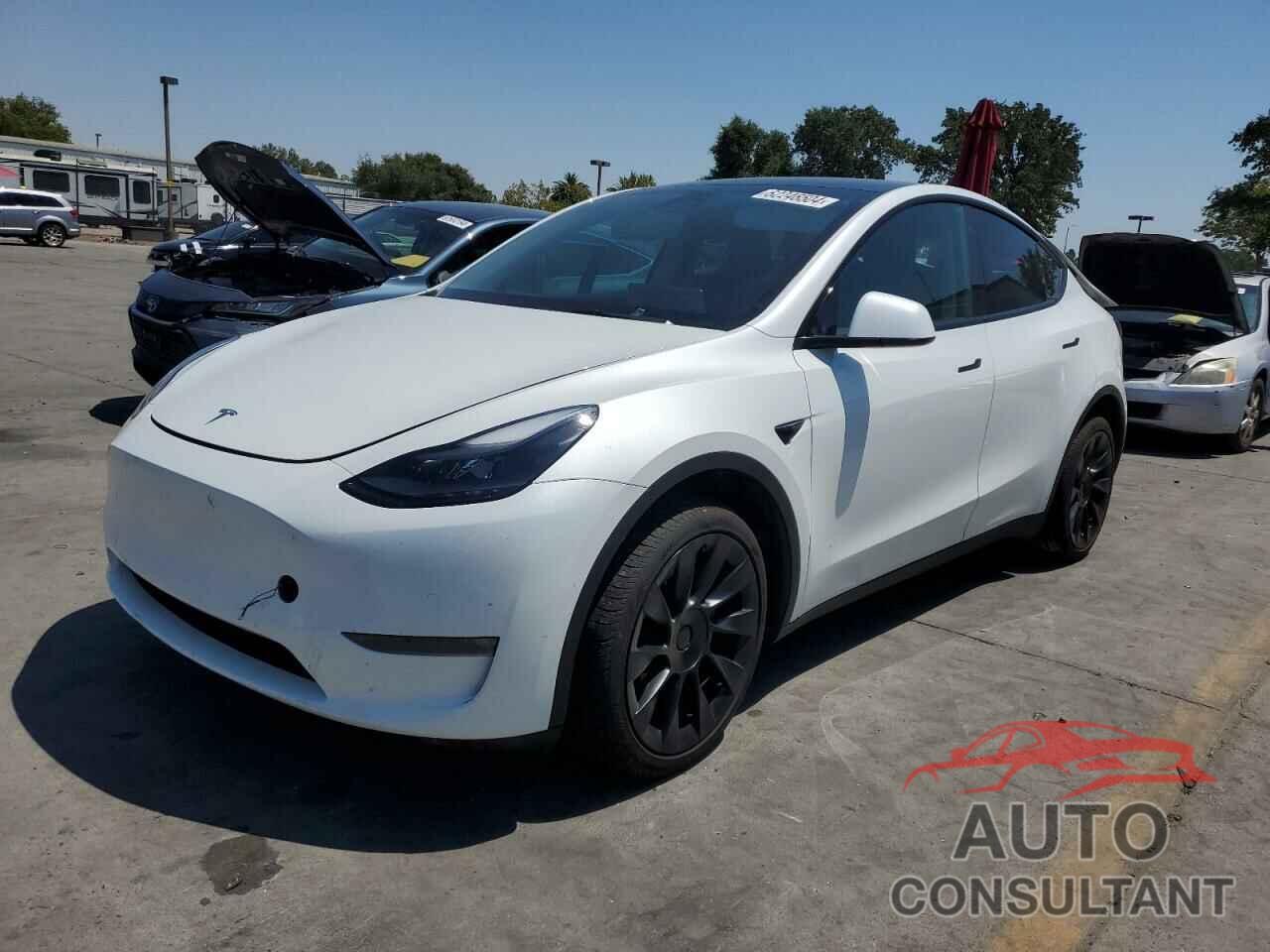 TESLA MODEL Y 2022 - 7SAYGDEE7NF551919