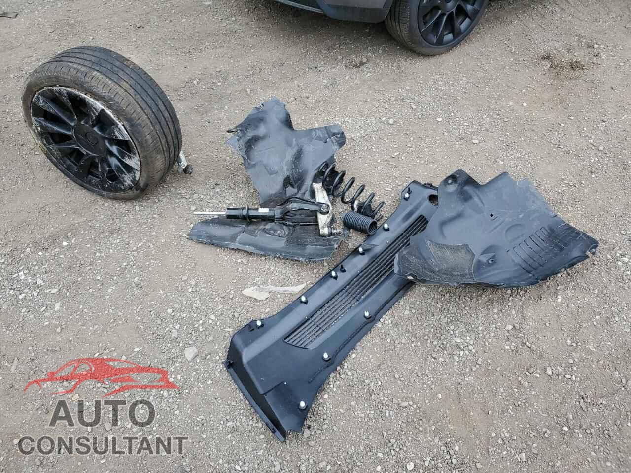 TESLA MODEL Y 2024 - 7SAYGDEE0RF212912