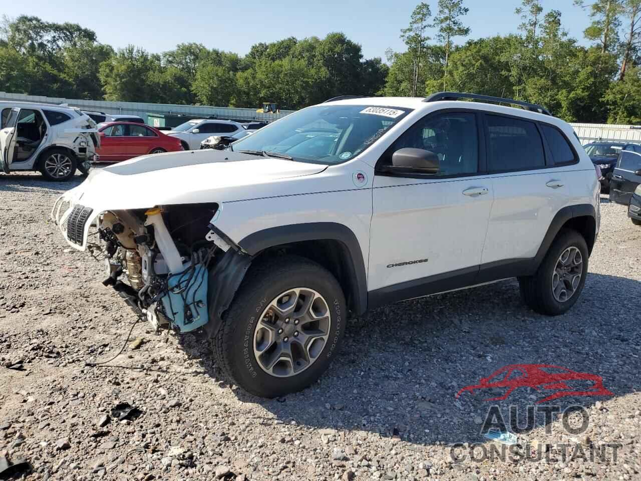 JEEP CHEROKEE 2021 - 1C4PJMBX1MD248639