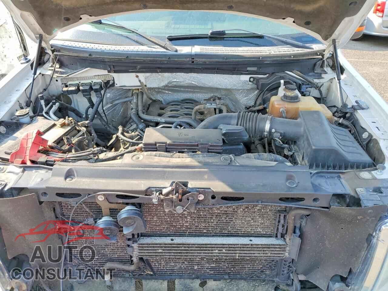 FORD F150 2011 - 1FTFX1EF3BFB58230