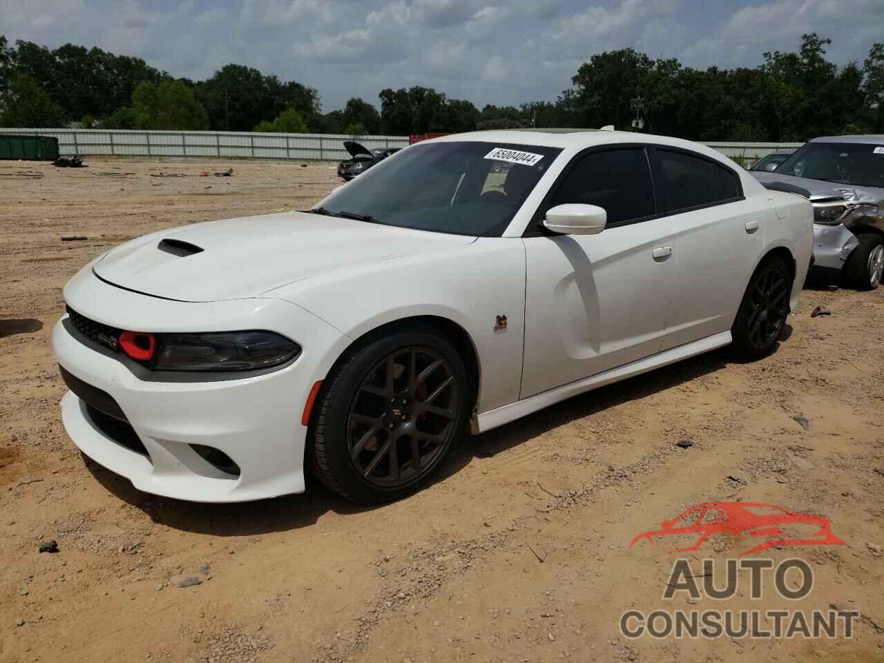DODGE CHARGER 2019 - 2C3CDXGJ9KH519060