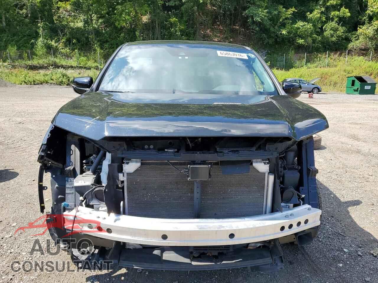 HONDA RIDGELINE 2024 - 5FPYK3F81RB007704