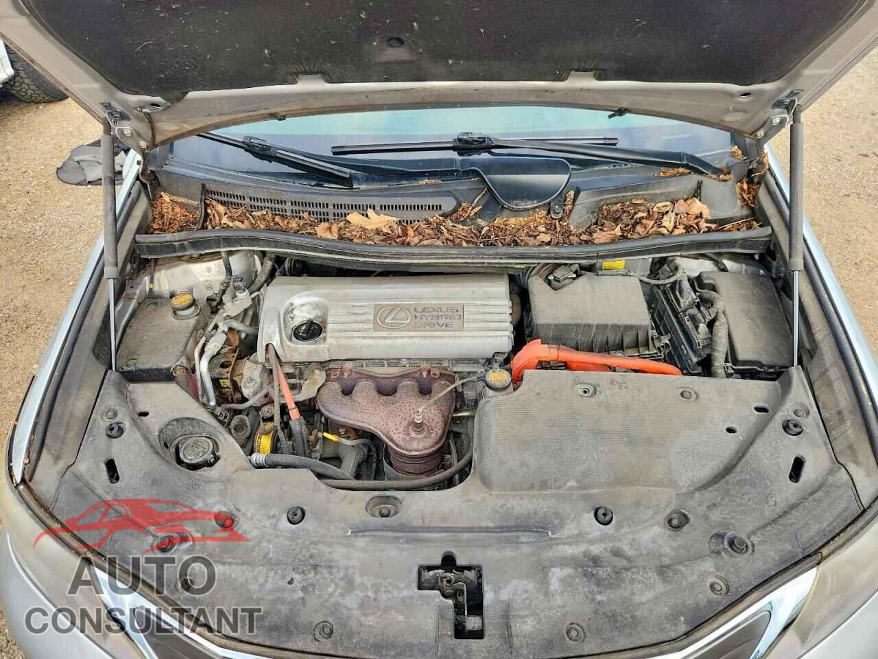 LEXUS HS 2010 - JTHBB1BA1A2037867