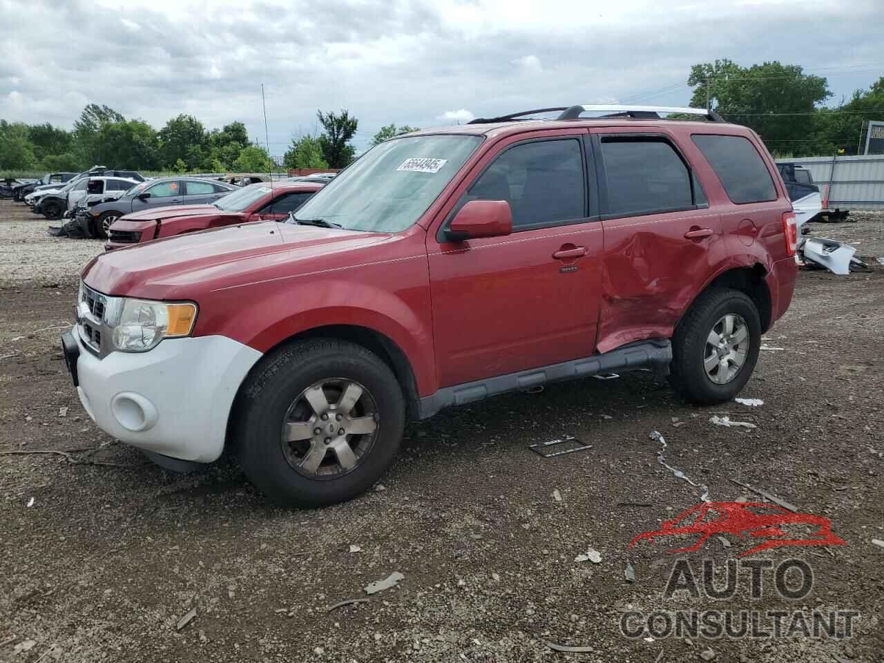 FORD ESCAPE 2011 - 1FMCU0EG5BKB97466