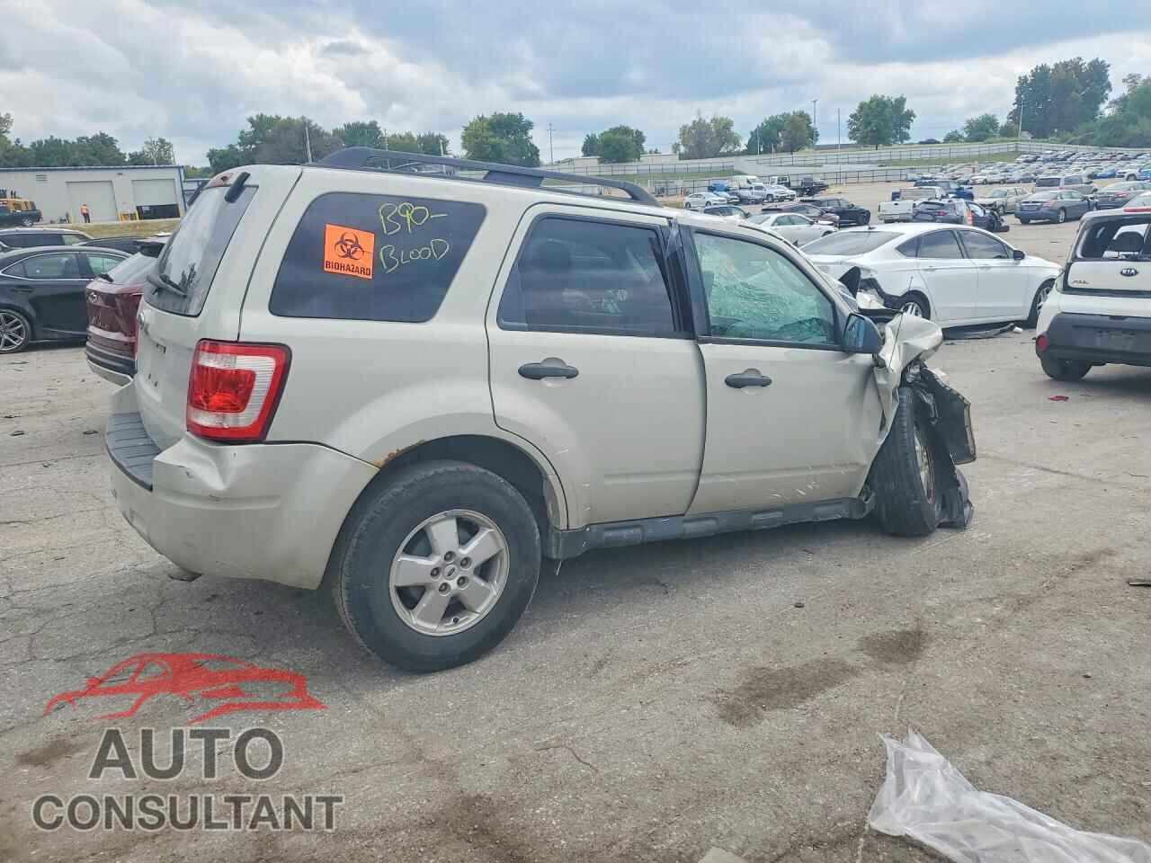 FORD ESCAPE 2009 - 1FMCU03GX9KD05948