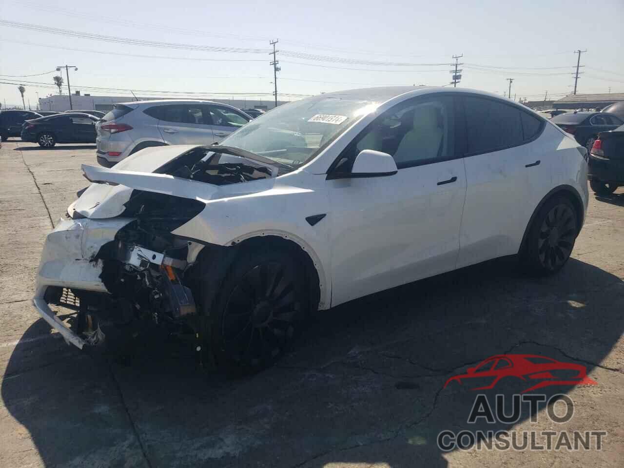 TESLA MODEL Y 2022 - 7SAYGDEF8NF495109