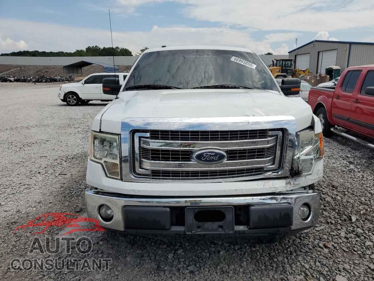 FORD F-150 2013 - 1FTFX1CF8DFD44500