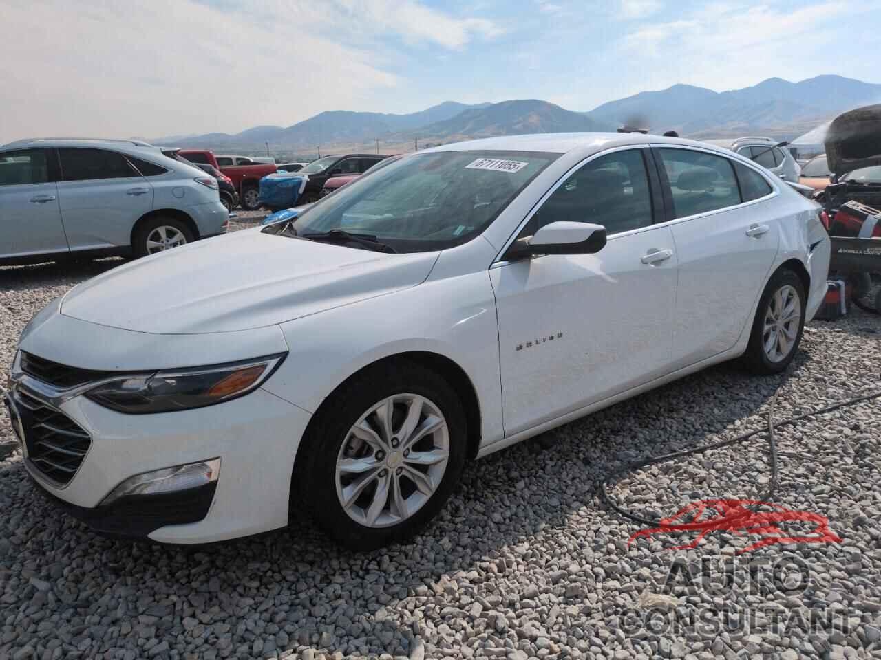 CHEVROLET MALIBU 2020 - 1G1ZD5ST0LF043604