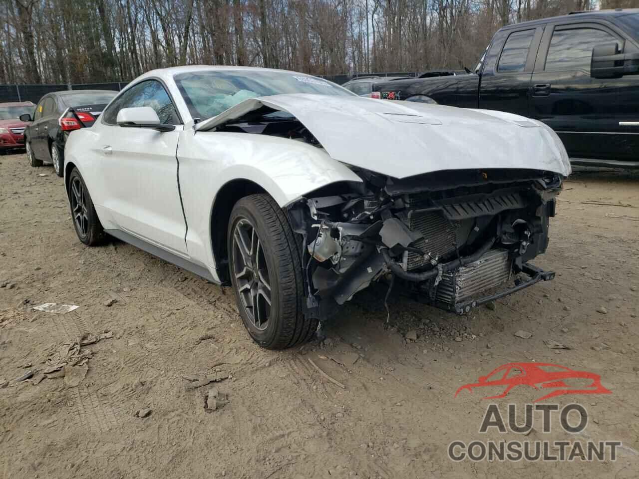 FORD MUSTANG 2019 - 1FA6P8THXK5172358