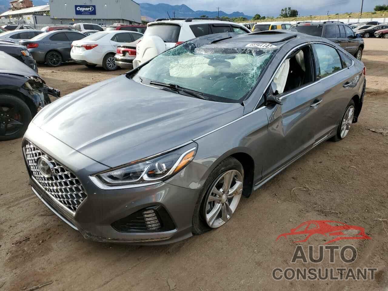 HYUNDAI SONATA 2019 - 5NPE34AF0KH767165