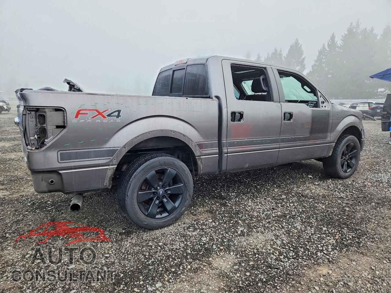 FORD F150 2013 - 1FTFW1ET0DFD86519