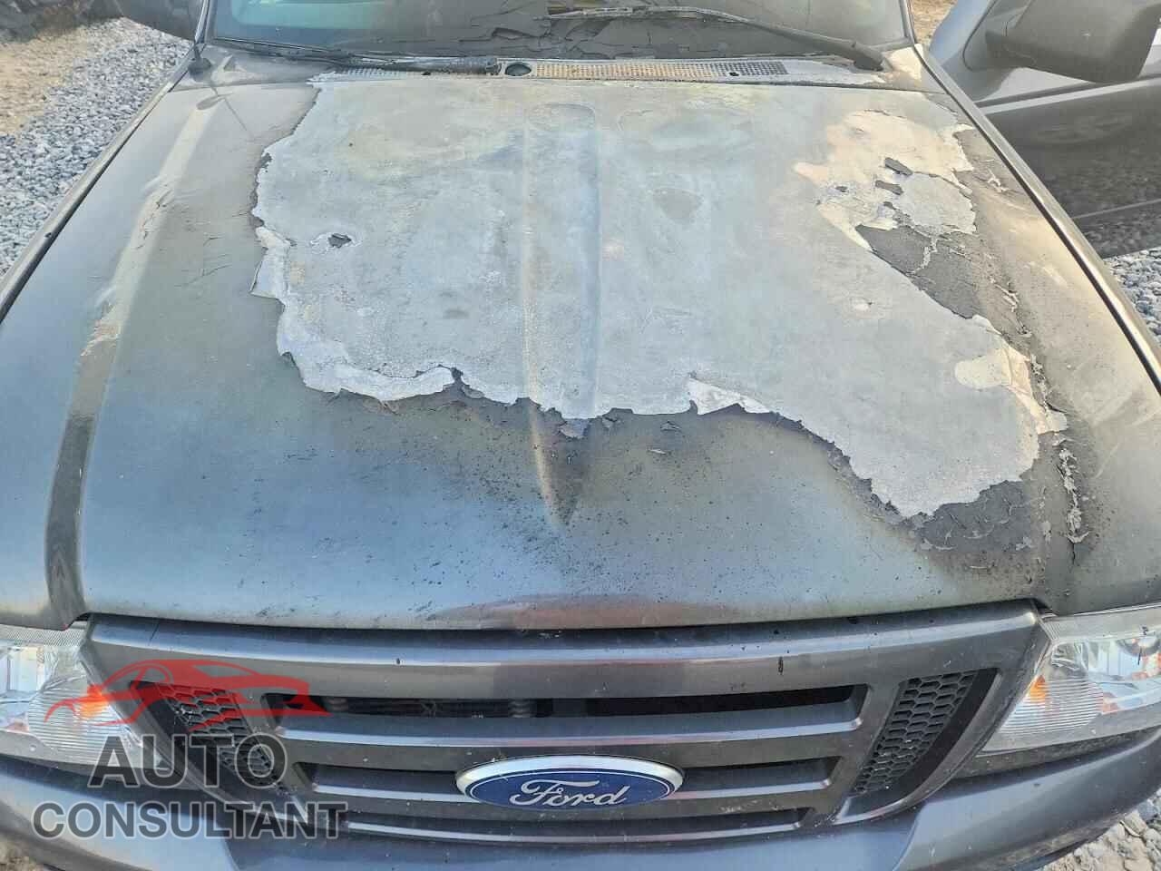 FORD RANGER 2011 - 1FTLR4FE8BPB15159