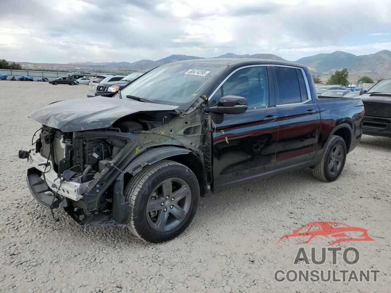 HONDA RIDGELINE 2023 - 5FPYK3F51PB043444