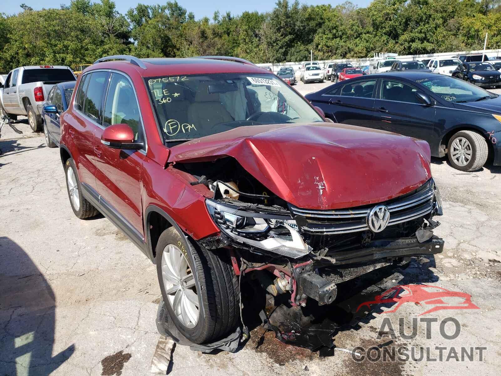 VOLKSWAGEN TIGUAN 2016 - WVGBV7AX9GW075572