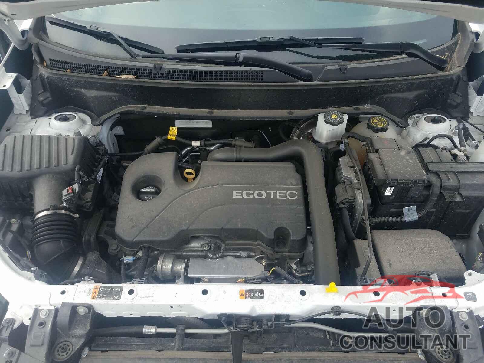 CHEVROLET EQUINOX 2019 - 2GNAXKEV8K6134286