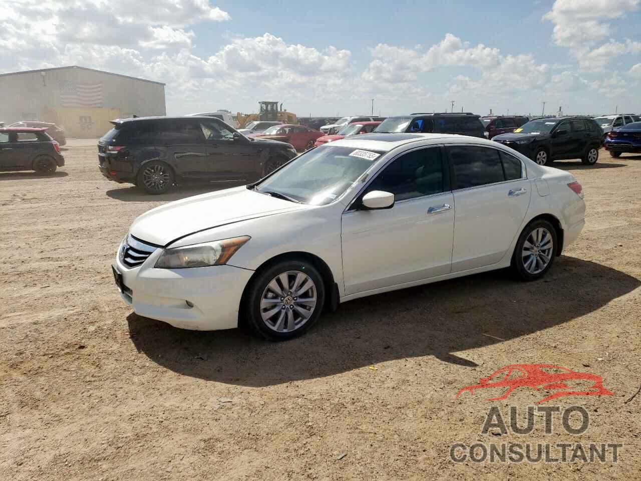 HONDA ACCORD 2011 - 5KBCP3F83BB003195
