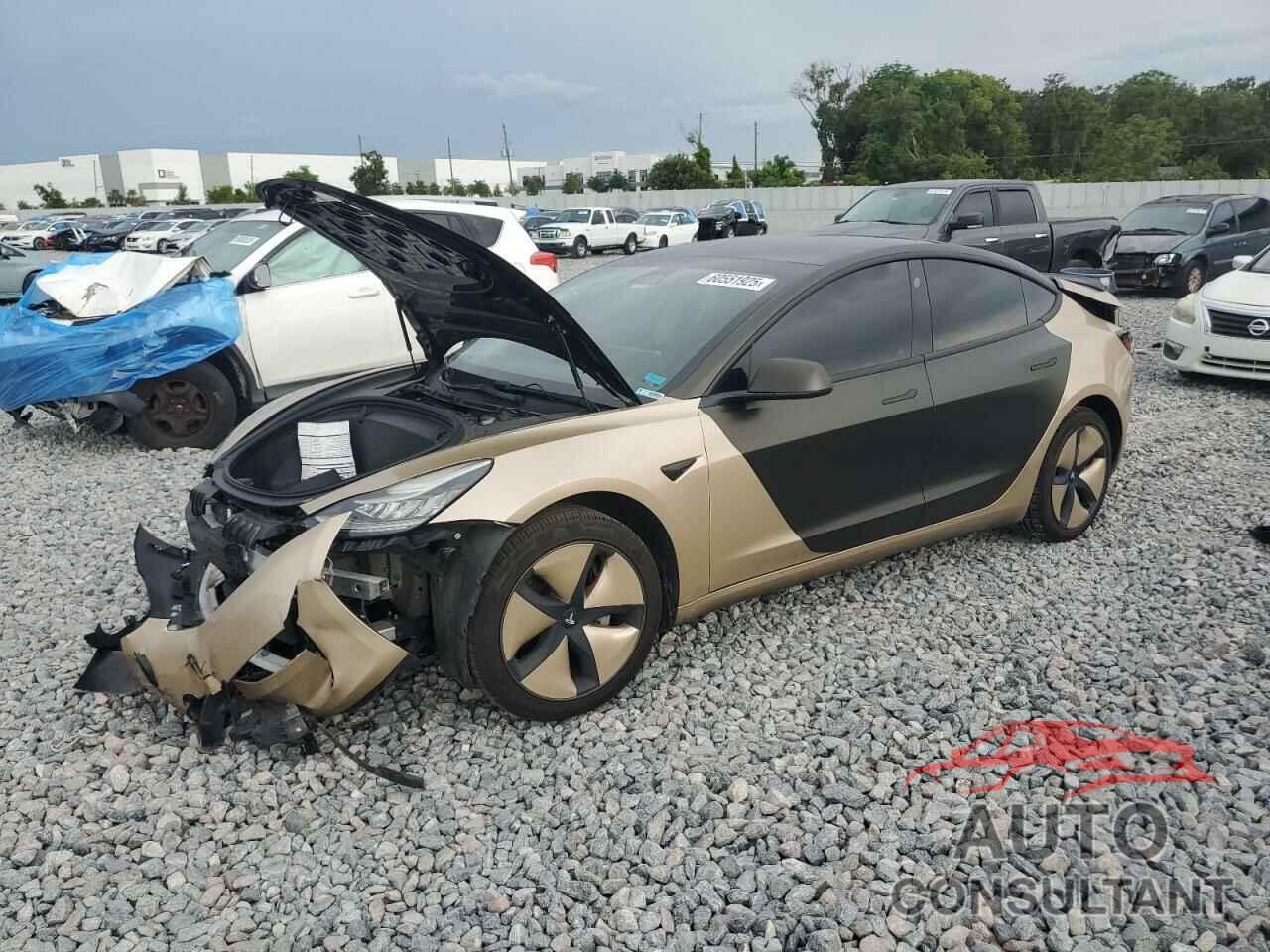 TESLA MODEL 3 2018 - 5YJ3E1EA6JF042116