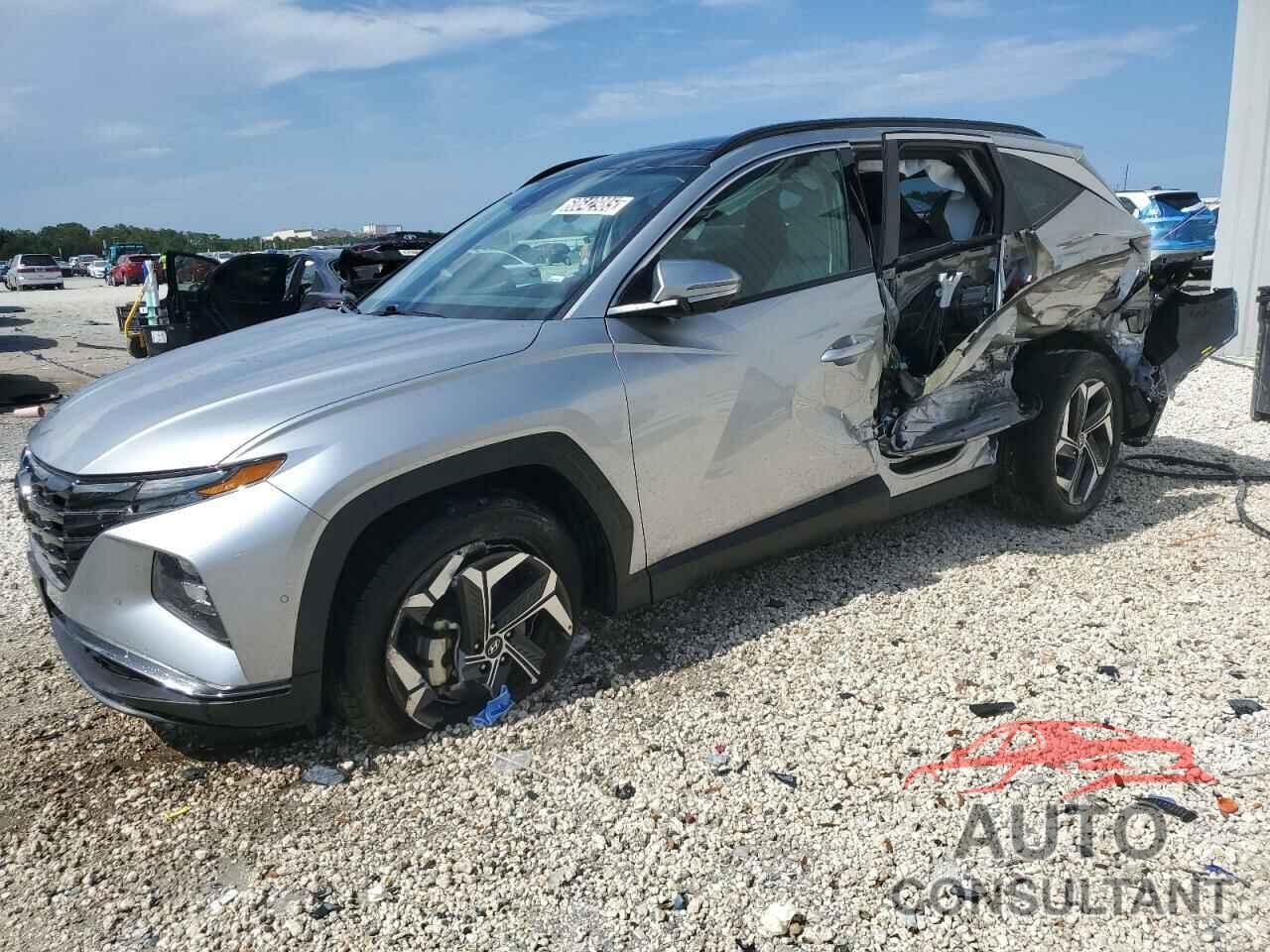 HYUNDAI TUCSON 2024 - 5NMJECDE0RH332997