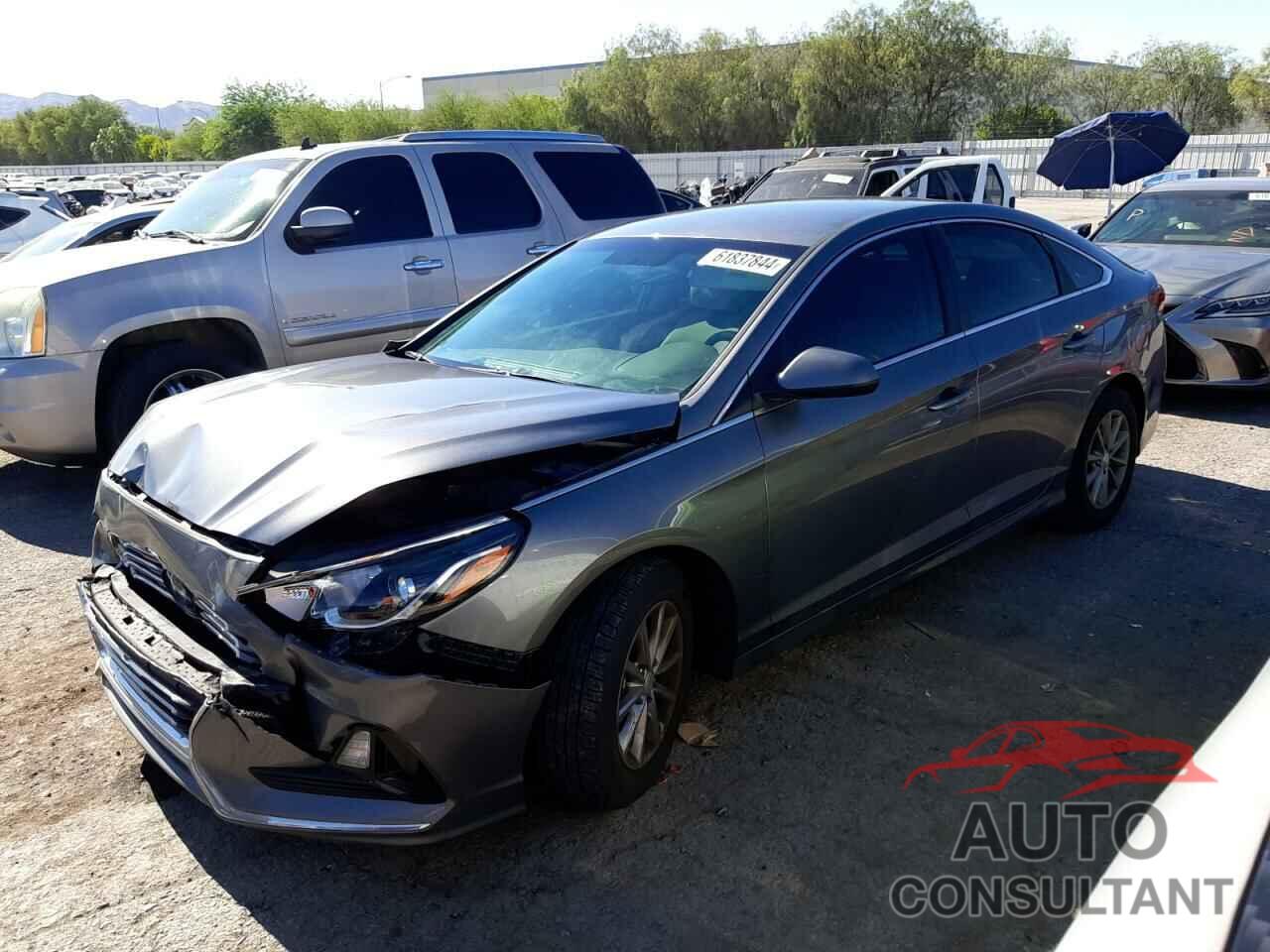 HYUNDAI SONATA 2018 - 5NPE24AF3JH698019