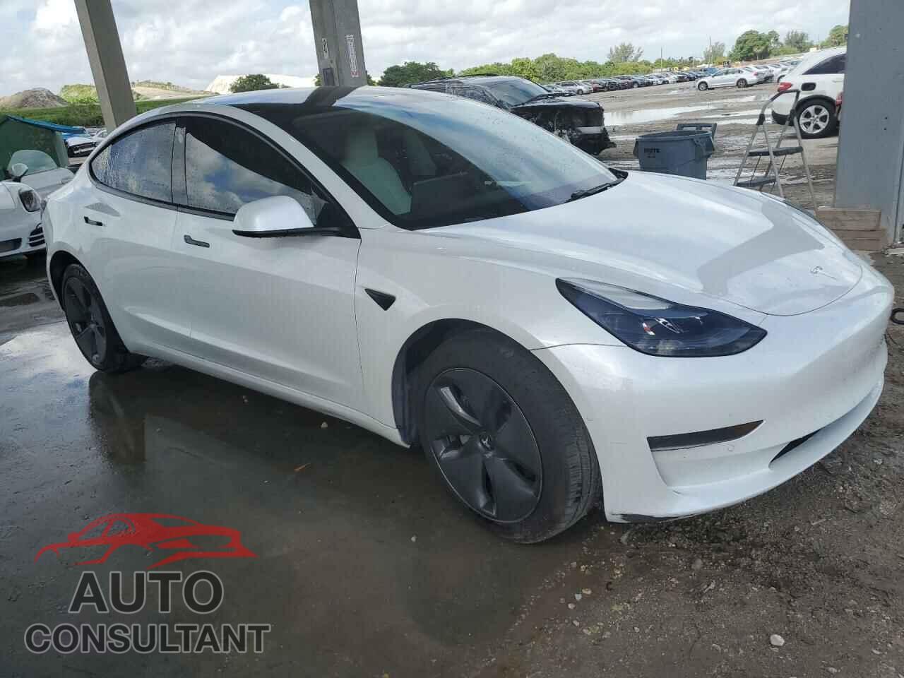 TESLA MODEL 3 2021 - 5YJ3E1EA1MF062293