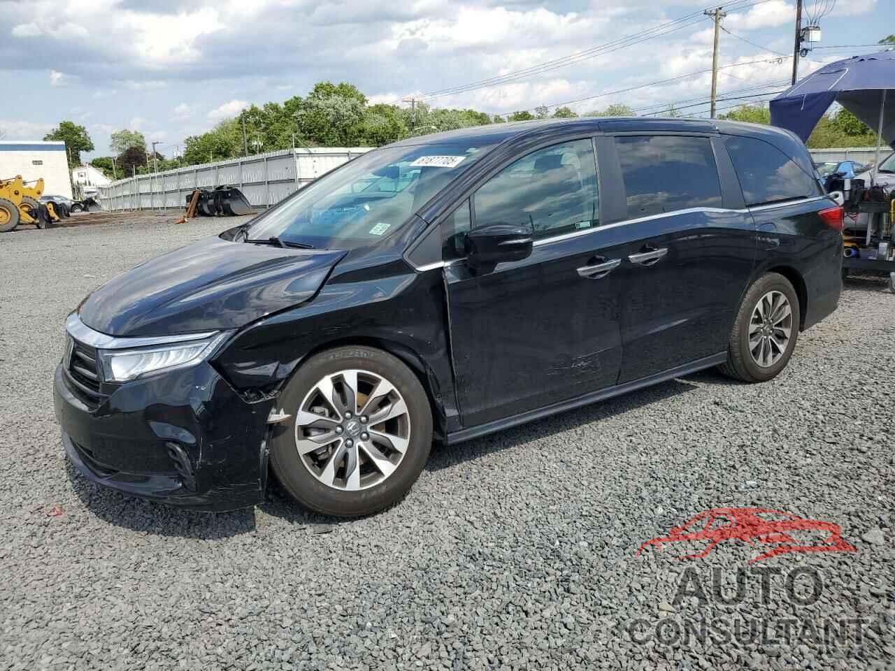 HONDA All Models 2022 - 5FNRL6H71NB032192