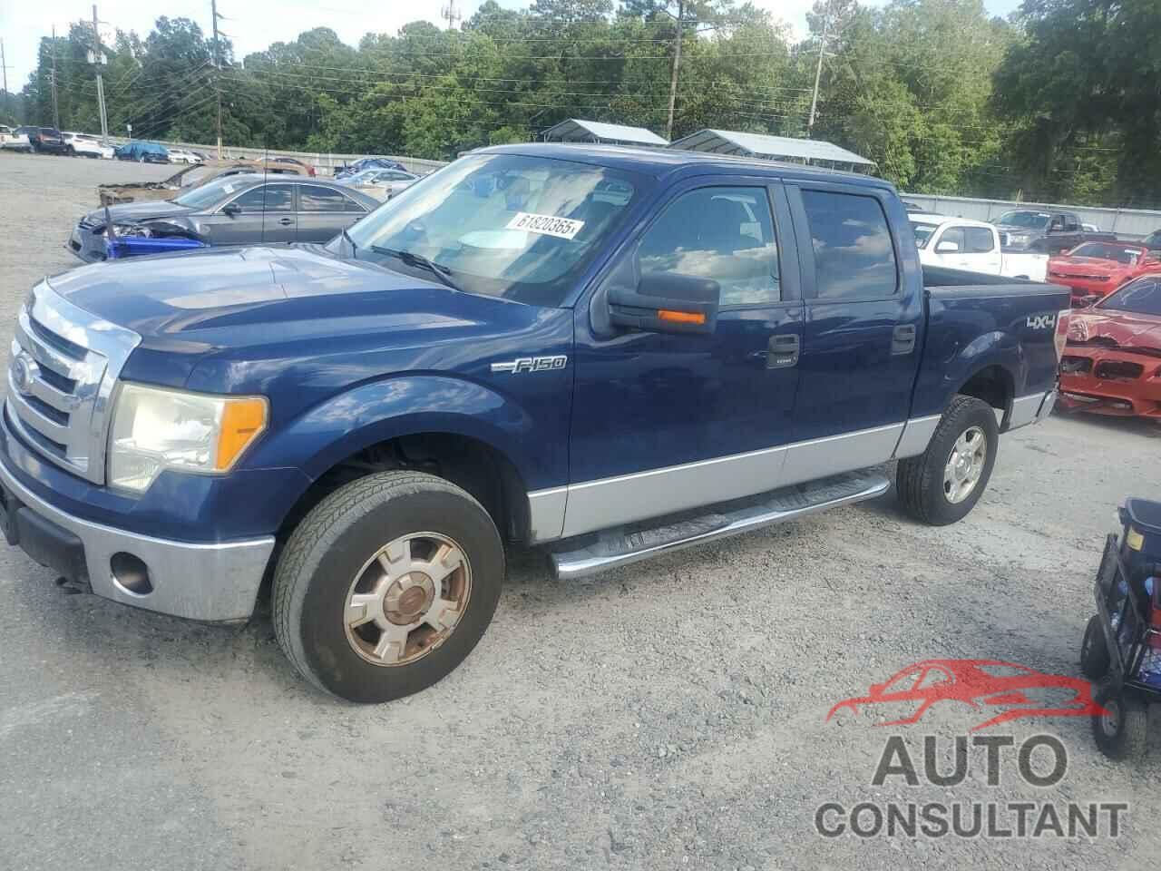 FORD F-150 2010 - 1FTEW1E89AFD40450