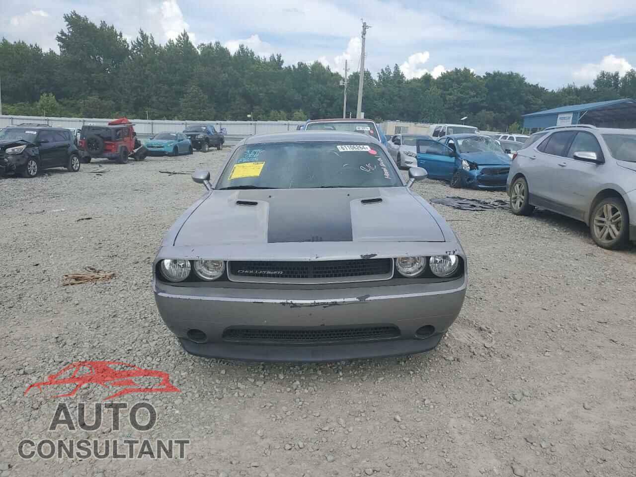 DODGE CHALLENGER 2014 - 2C3CDYAG6EH214767