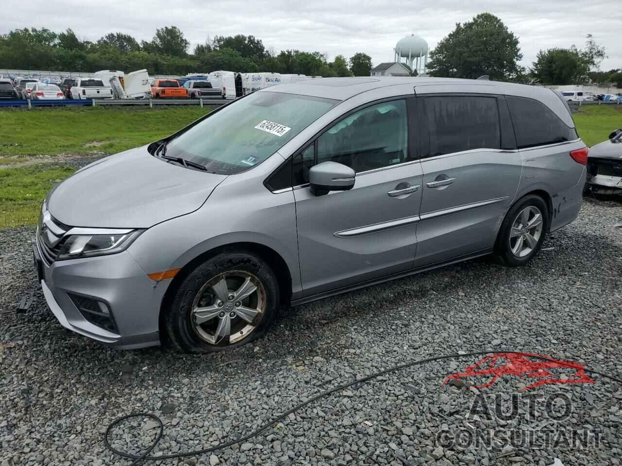 HONDA All Models 2019 - 5FNRL6H77KB128680
