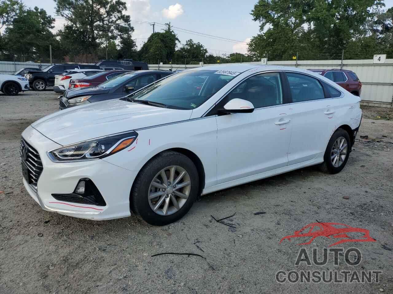 HYUNDAI SONATA 2019 - 5NPE24AFXKH766009