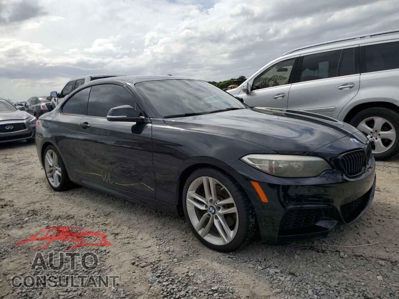 BMW 2 SERIES 2016 - WBA1F9C59GV545624