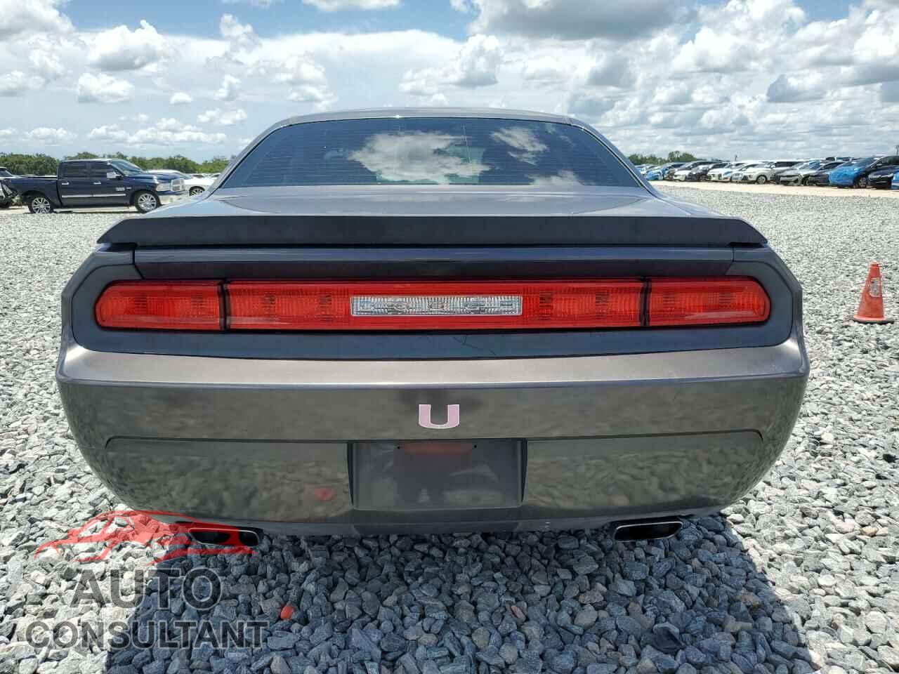 DODGE CHALLENGER 2014 - 2C3CDYAG2EH289899