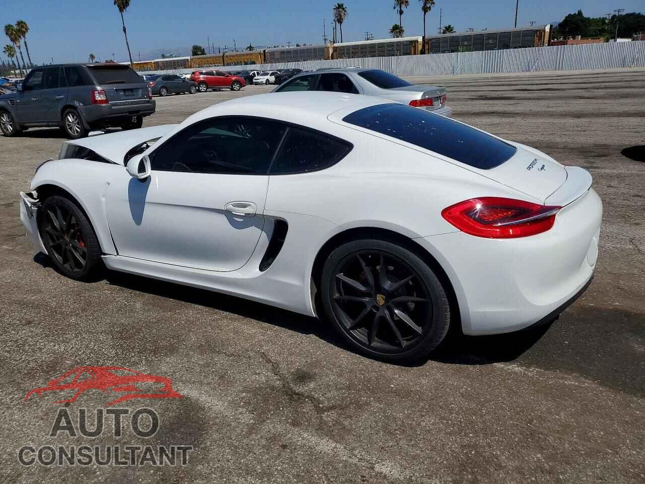 PORSCHE CAYMAN 2015 - WP0AA2A84FK162003
