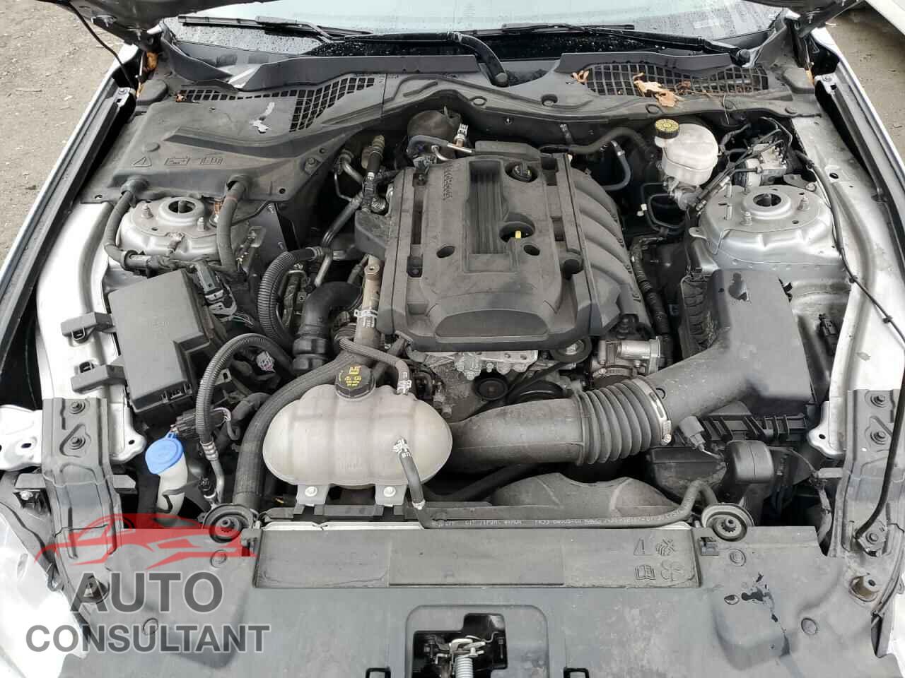 FORD MUSTANG 2020 - 1FA6P8TH3L5135959